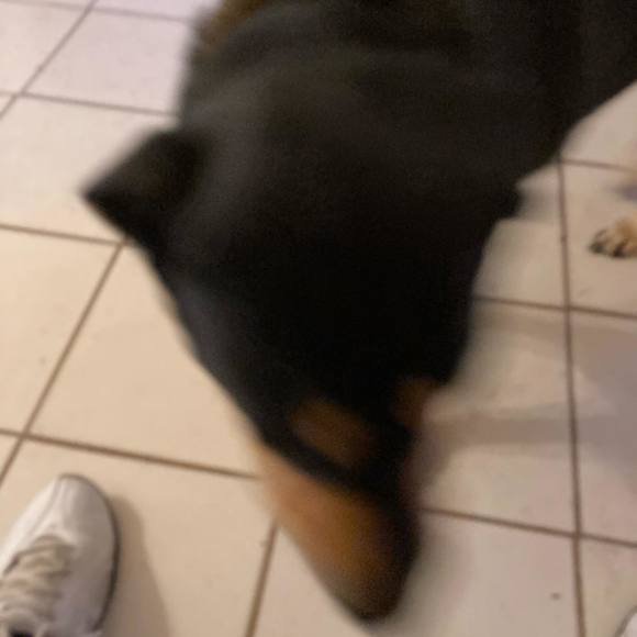 Meet your Posher, James - Picture 1 of 1